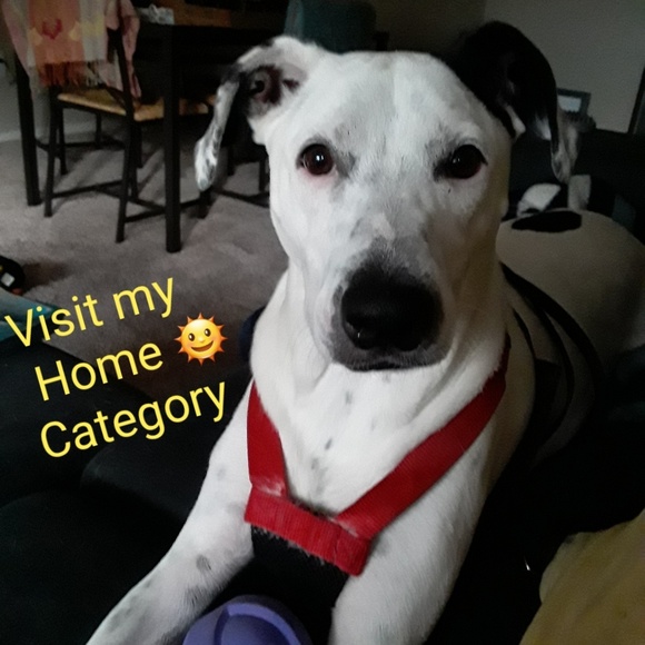 🌞Visit My Home Category - Picture 1 of 1